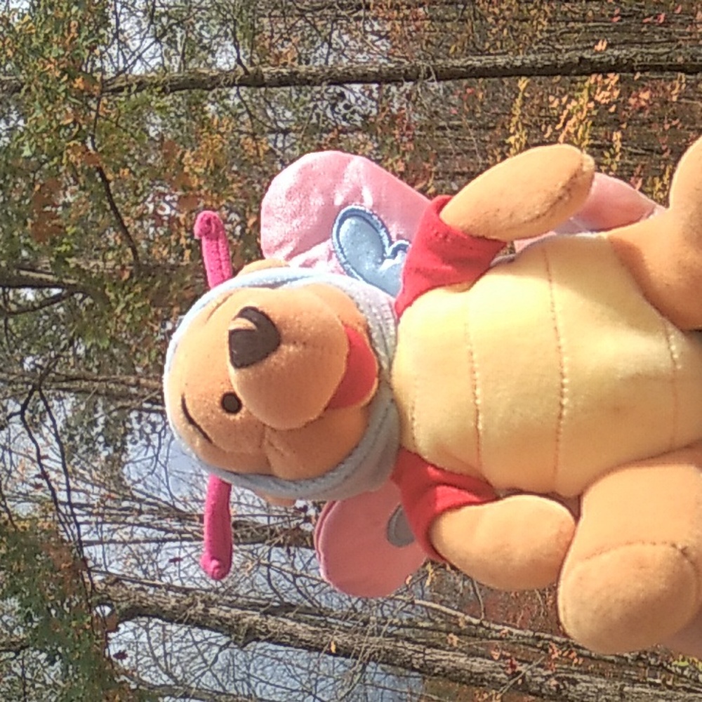 Winnie the Pooh Butterfly 🦋 PLUSH    2000 Easter Deadstock EVC